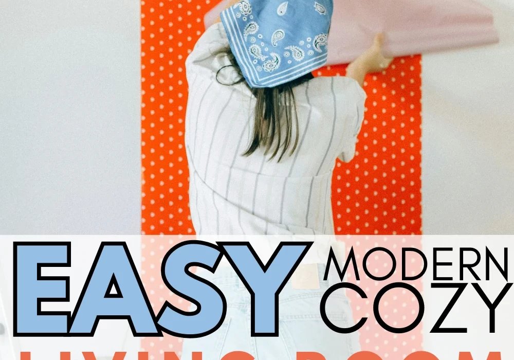 14 Easy & Affordable Modern Cozy Living Room Ideas