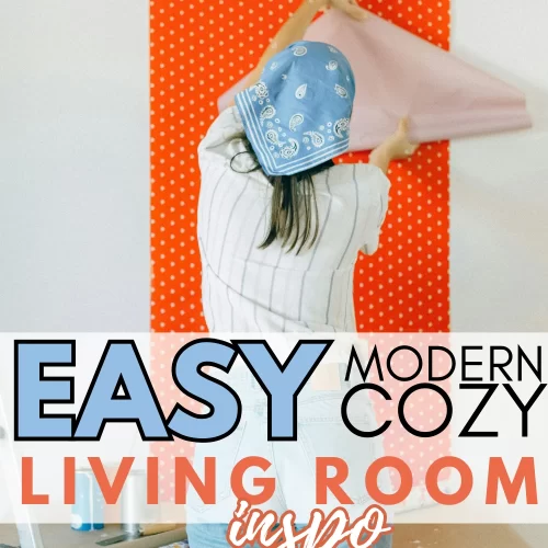 modern cozy living room ideas