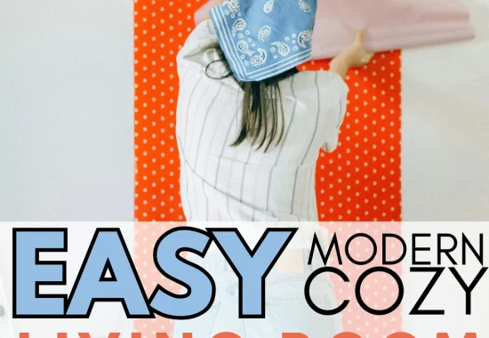 14 Easy & Affordable Modern Cozy Living Room Ideas
