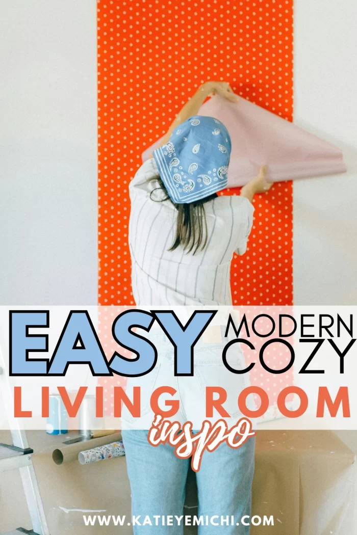 14 Easy & Affordable Modern Cozy Living Room Ideas