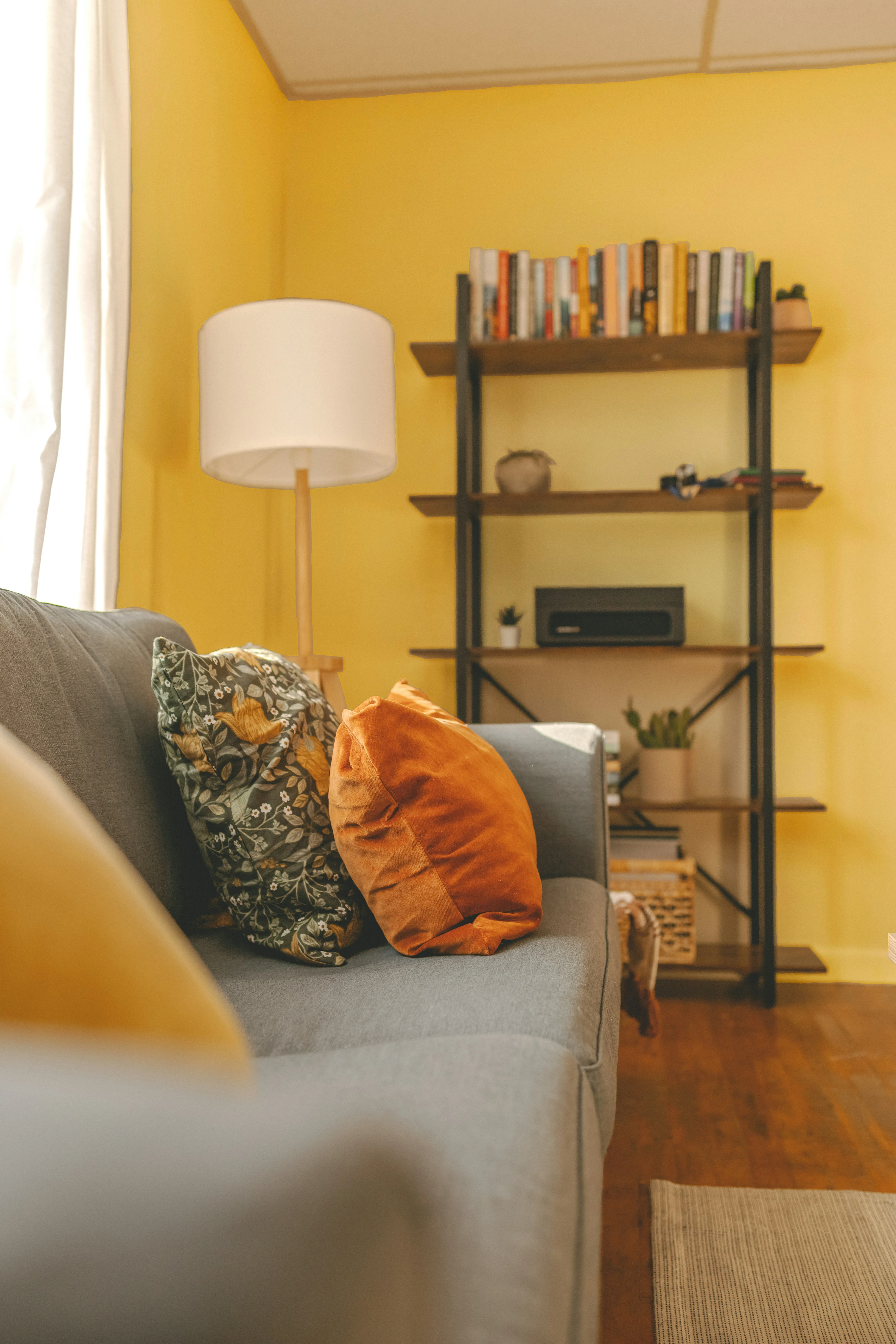 modern cozy living room ideas